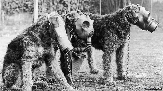 Airedale Terrier – Amazing War Dogs 